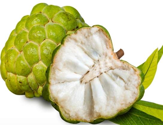 釋迦營養價值 釋迦營養價值