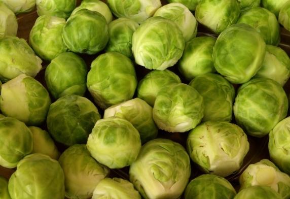 球芽甘藍營養 球芽甘藍營養