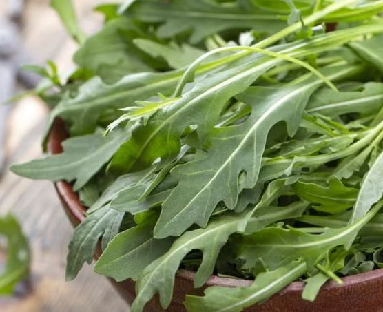 芝麻葉料理 芝麻葉料理