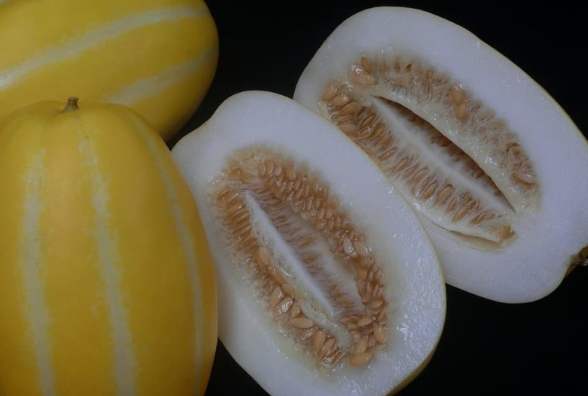 香瓜處理技巧 香瓜處理技巧