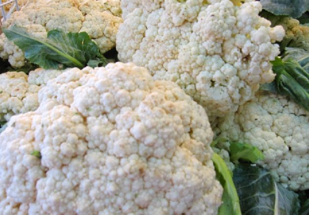 白花菜食譜 白花菜食譜