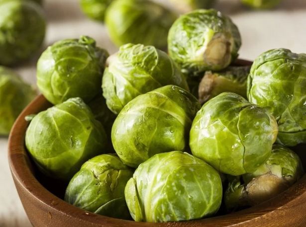 球芽甘藍營養 球芽甘藍營養