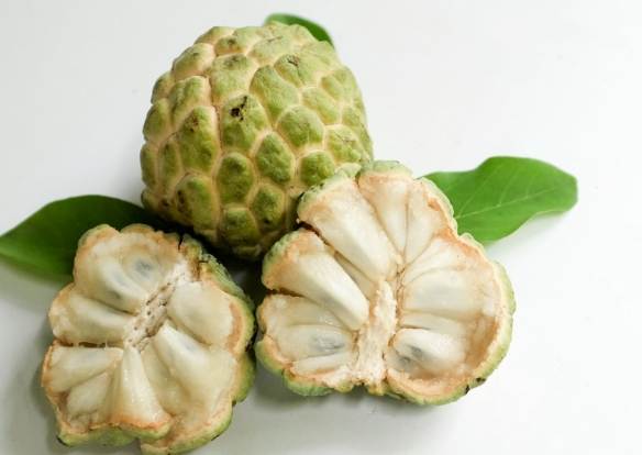 釋迦功效 釋迦功效