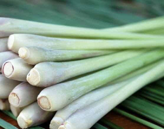 香茅功效 香茅功效