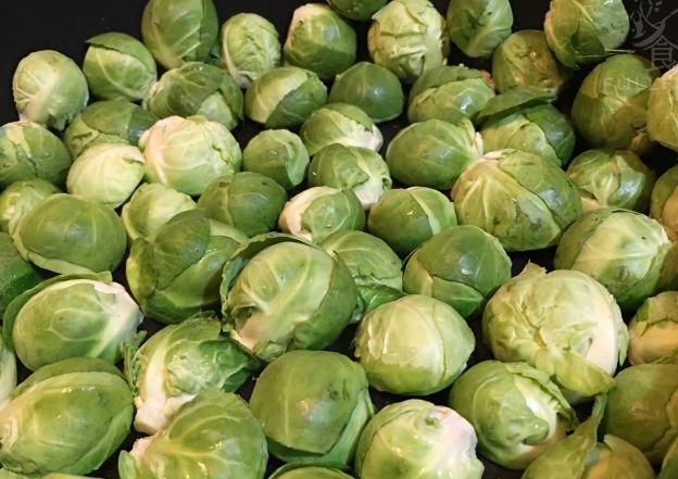 球芽甘藍種植 球芽甘藍種植