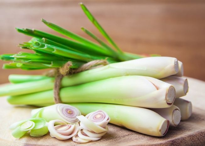 香茅用途 香茅用途