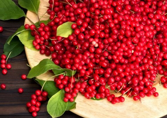 五味子功效 五味子功效