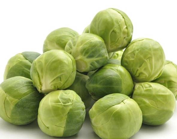 甘藍球營養 甘藍球營養