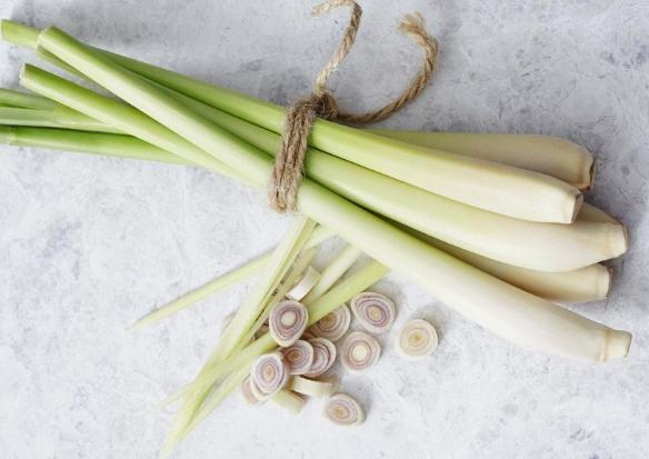 香茅功效 香茅功效