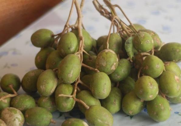 沙梨橄欖怎麼吃 沙梨橄欖怎麼吃