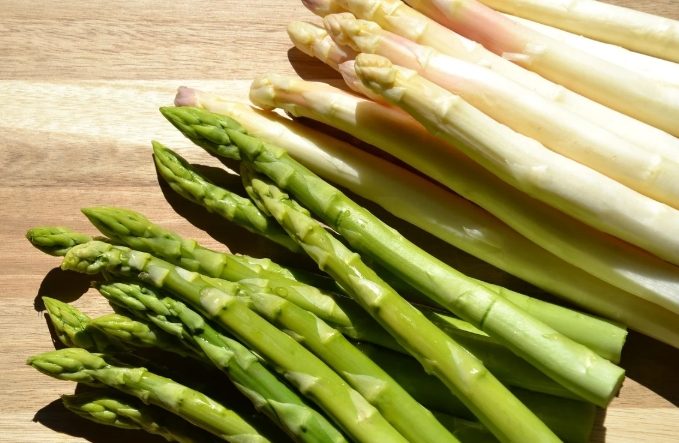 蘆筍挑選技巧 蘆筍挑選技巧