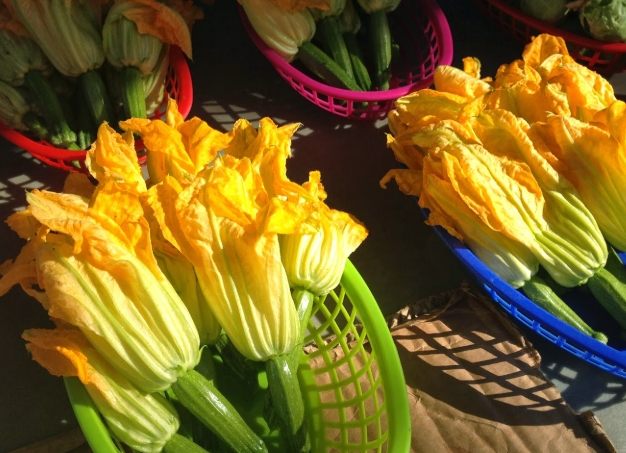 南瓜花食譜 南瓜花食譜