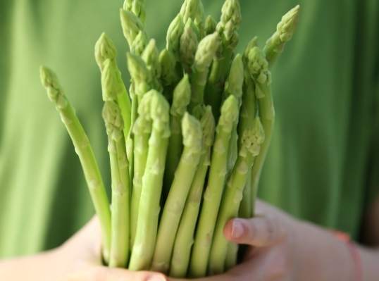 蘆筍食譜 蘆筍食譜