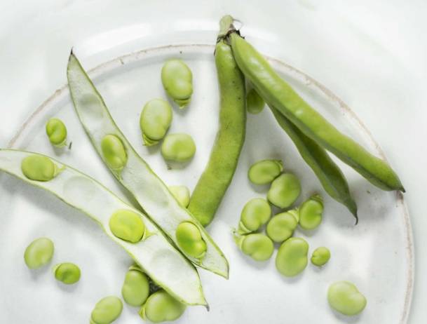 蠶豆食用方法 蠶豆食用方法